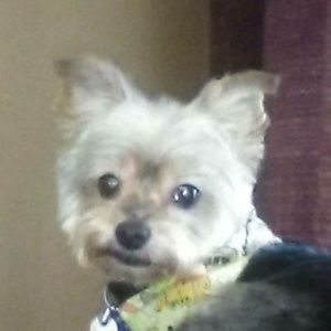 Meet your Posher, Patty